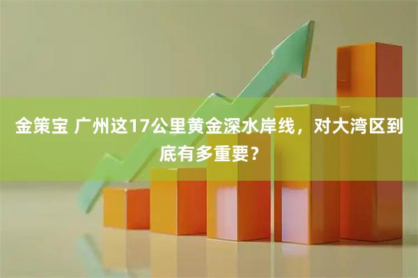 金策宝 广州这17公里黄金深水岸线，对大湾区到底有多重要？