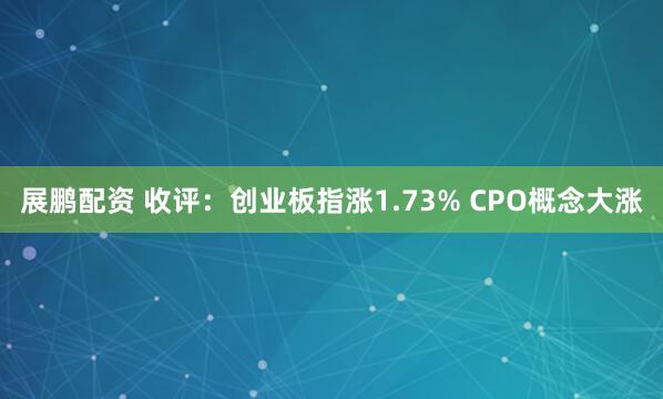 展鹏配资 收评：创业板指涨1.73% CPO概念大涨