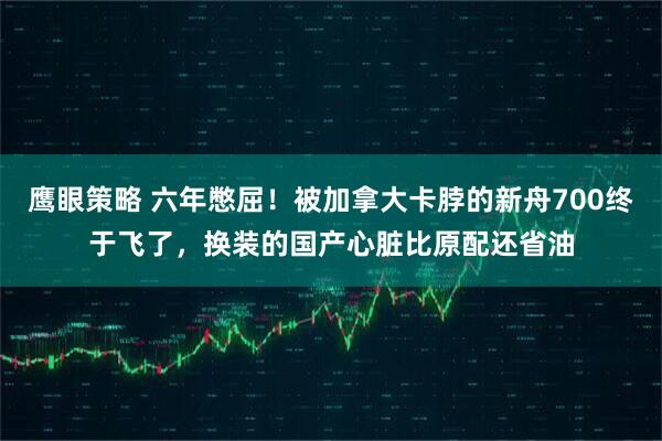 鹰眼策略 六年憋屈！被加拿大卡脖的新舟700终于飞了，换装的国产心脏比原配还省油